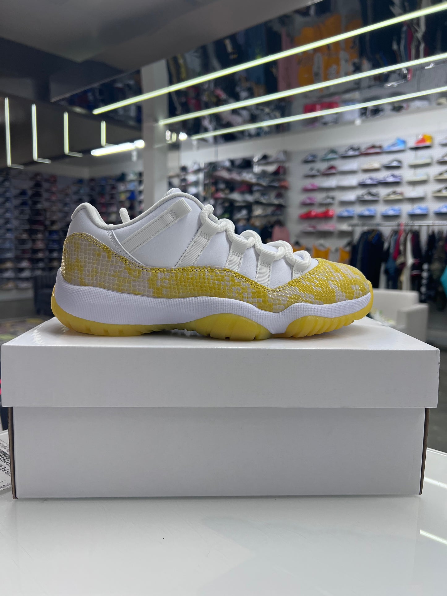 AJ 11 Yellow Snakeskin