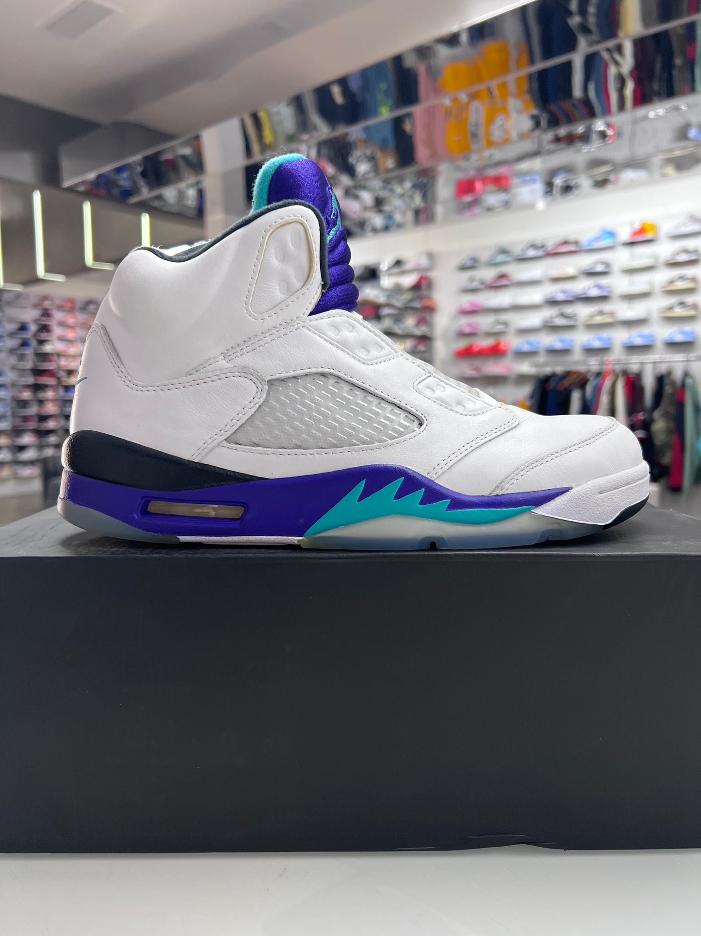 AJ 5 Grape Fresh Prince