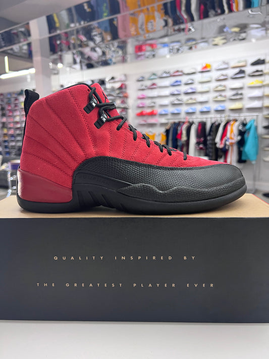 AJ 12 Reverse Flu Game